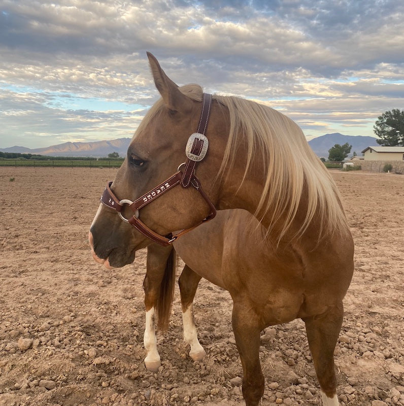 Bronc Halter product image 2