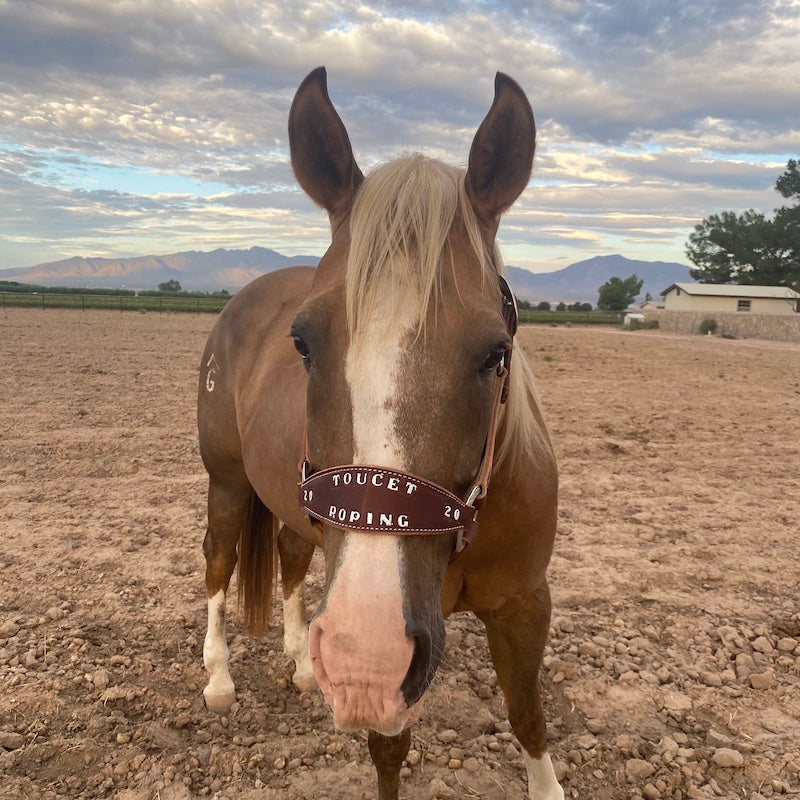 Bronc Halter product image 3