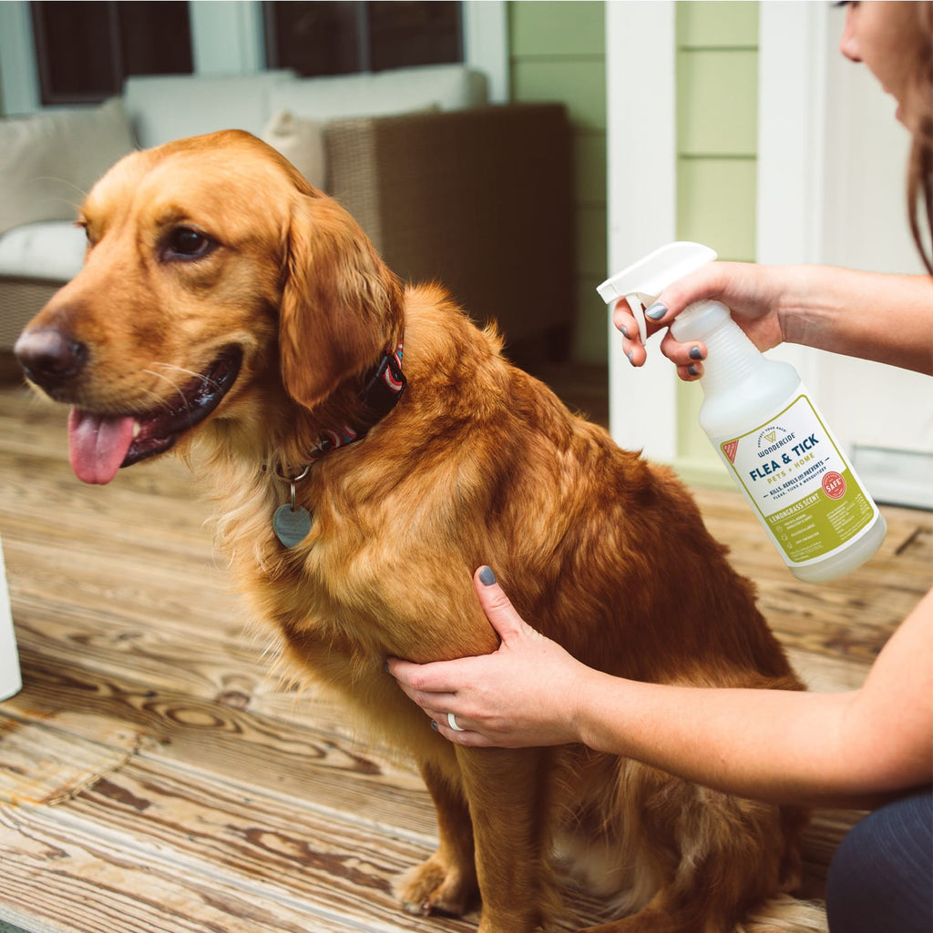 Flea & Tick Spray product image 3