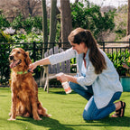 Flea Tick Spray product image 5