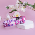 Neoprene Dog Collar product image 1