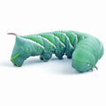 Live Hornworms product image 1