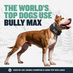 Mint Yak Milk Dog Chew product image 9