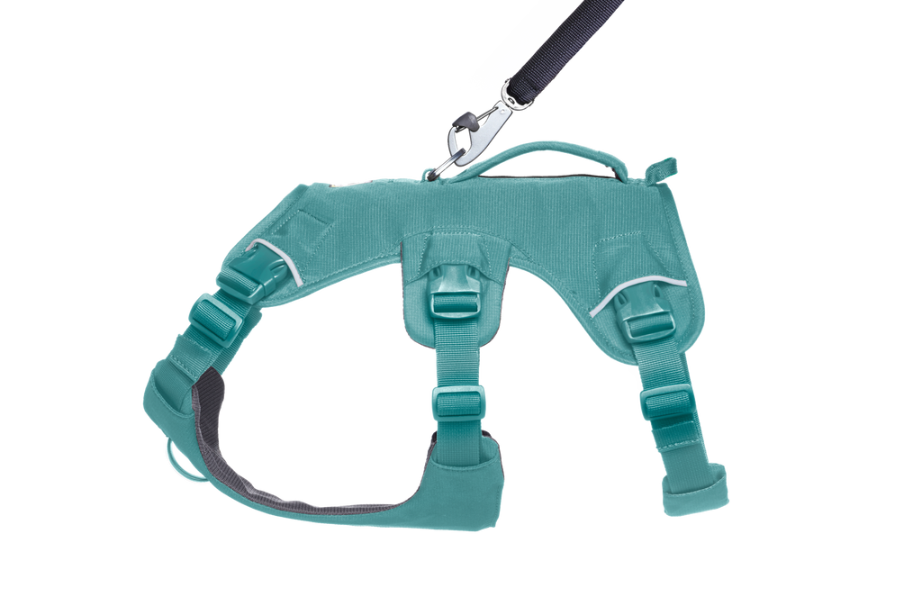 Dog Harness product image 6