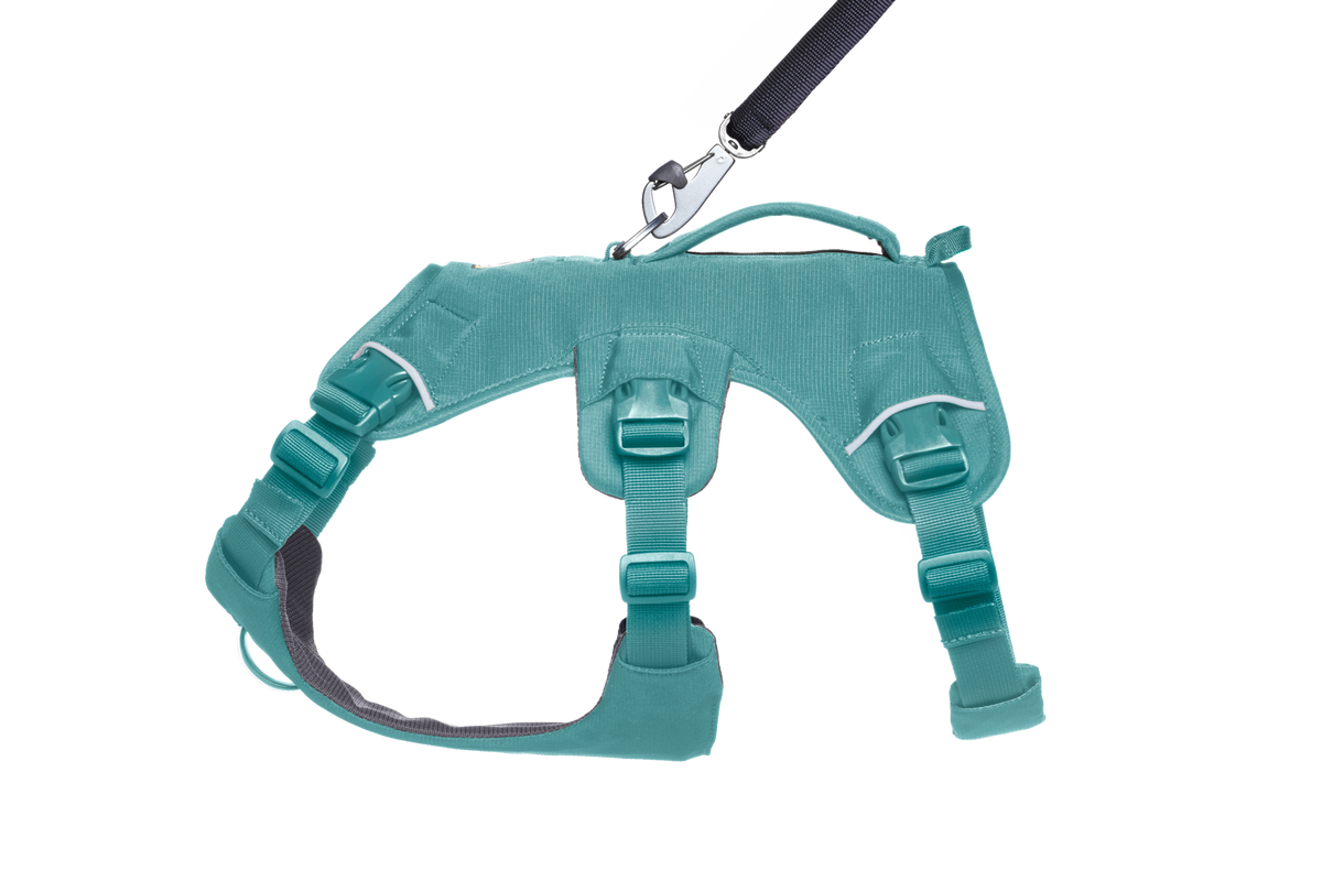 Dog Harness product image 6