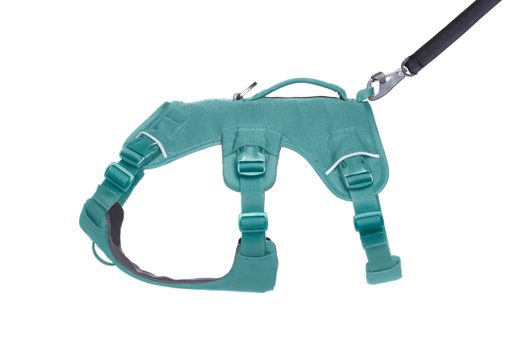 Dog Harness product image 7