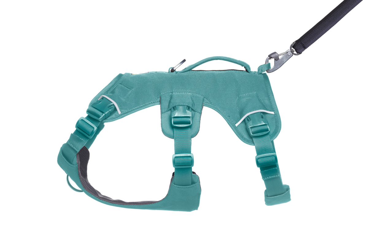 Dog Harness product image 7
