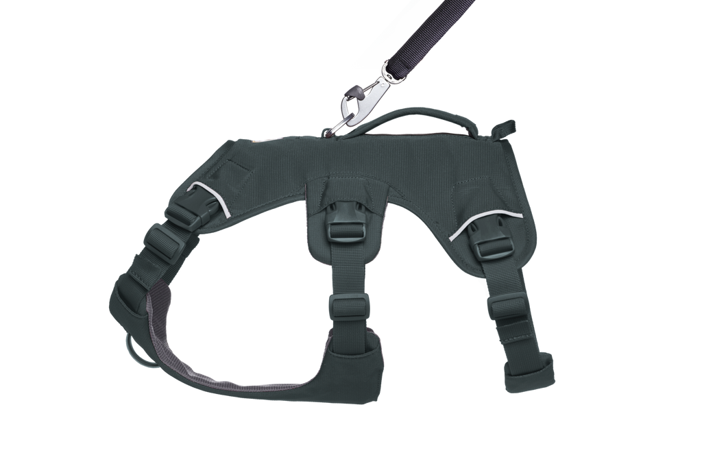 Dog Harness product image 12