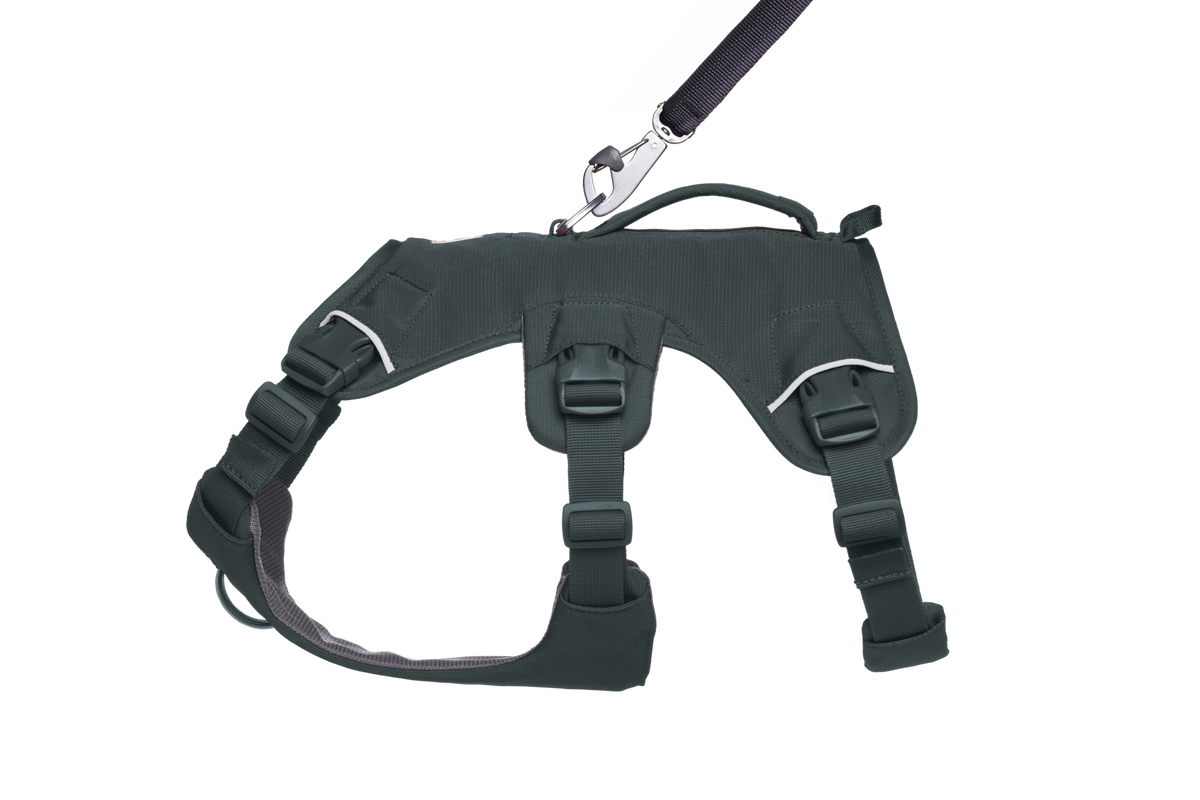 Dog Harness product image 12