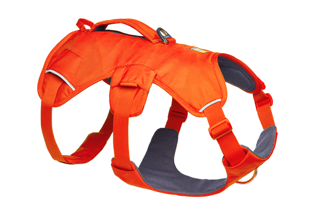 Dog Harness product image 13