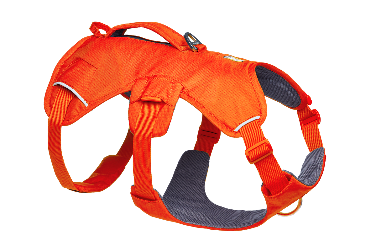 Dog Harness product image 13