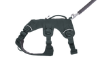 Dog Harness product image 14