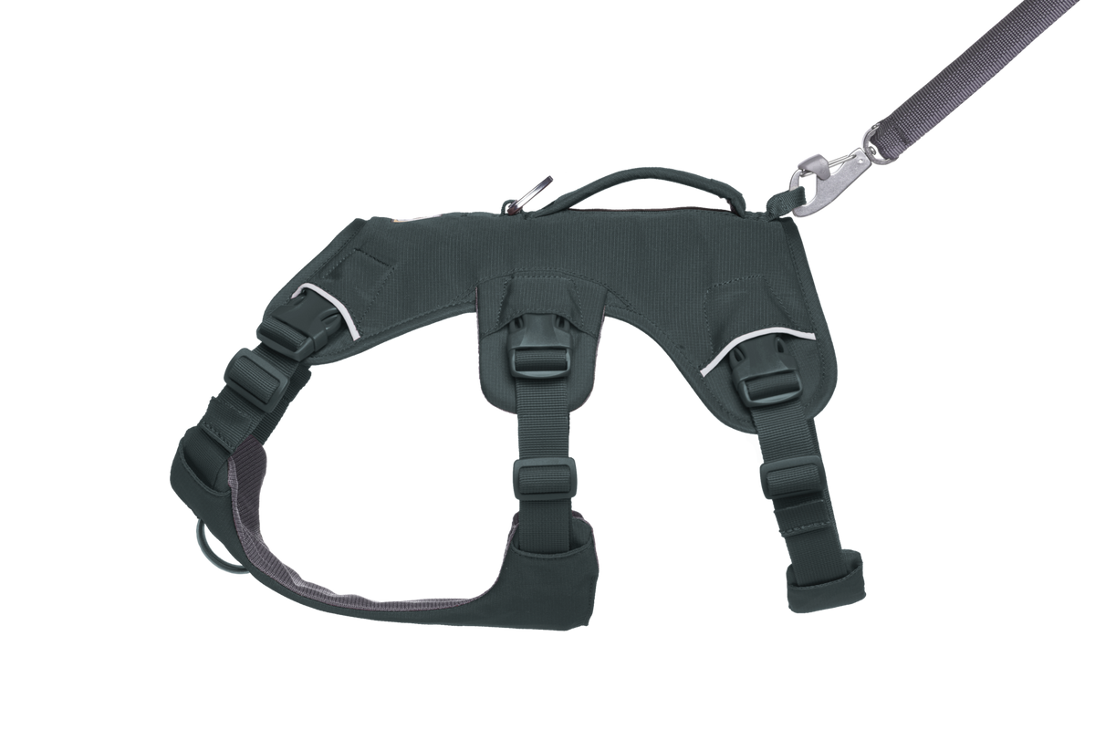 Dog Harness product image 14
