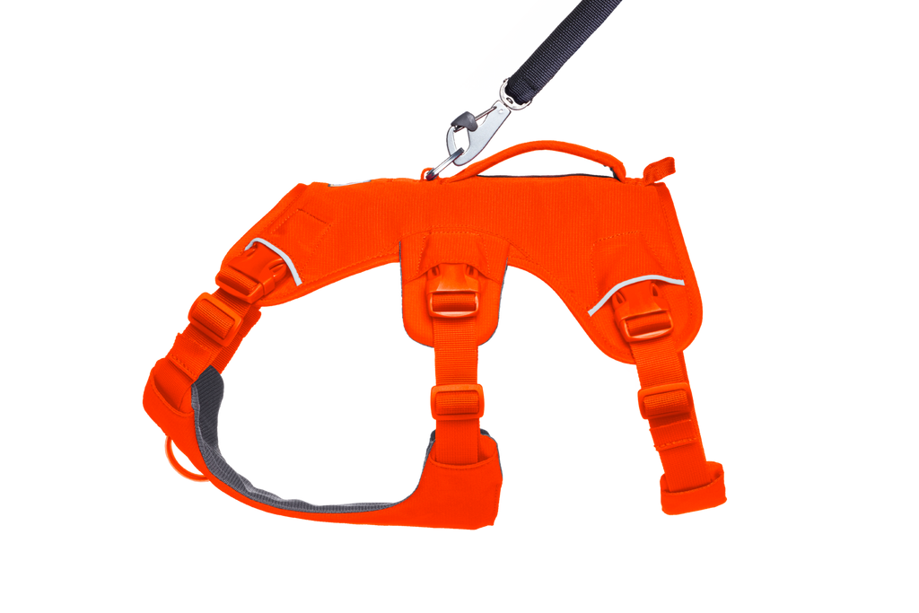 Dog Harness product image 18