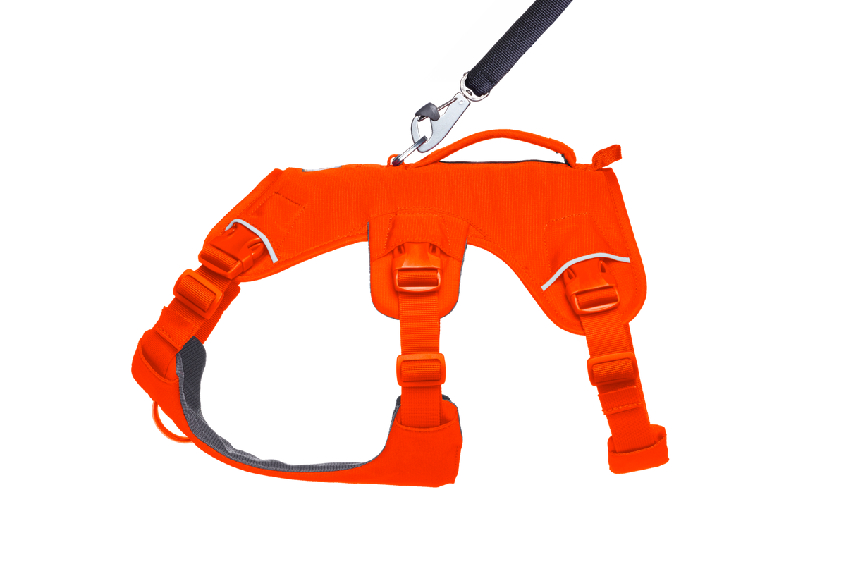 Dog Harness product image 18