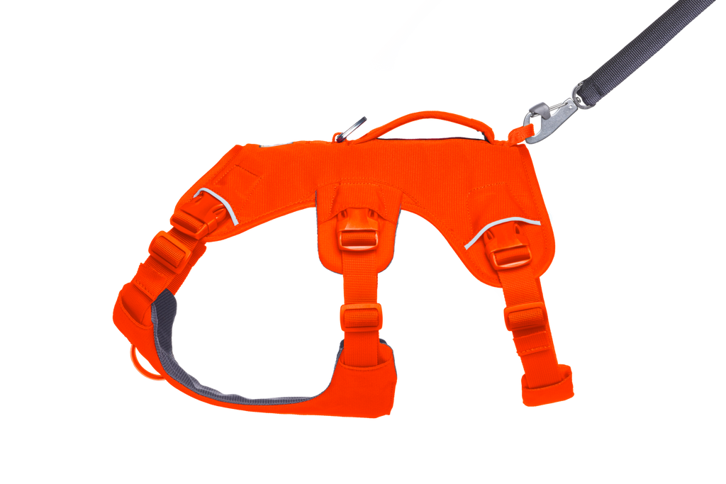Dog Harness product image 20