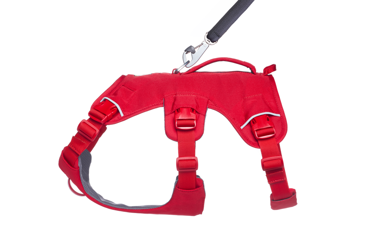 Dog Harness product image 23