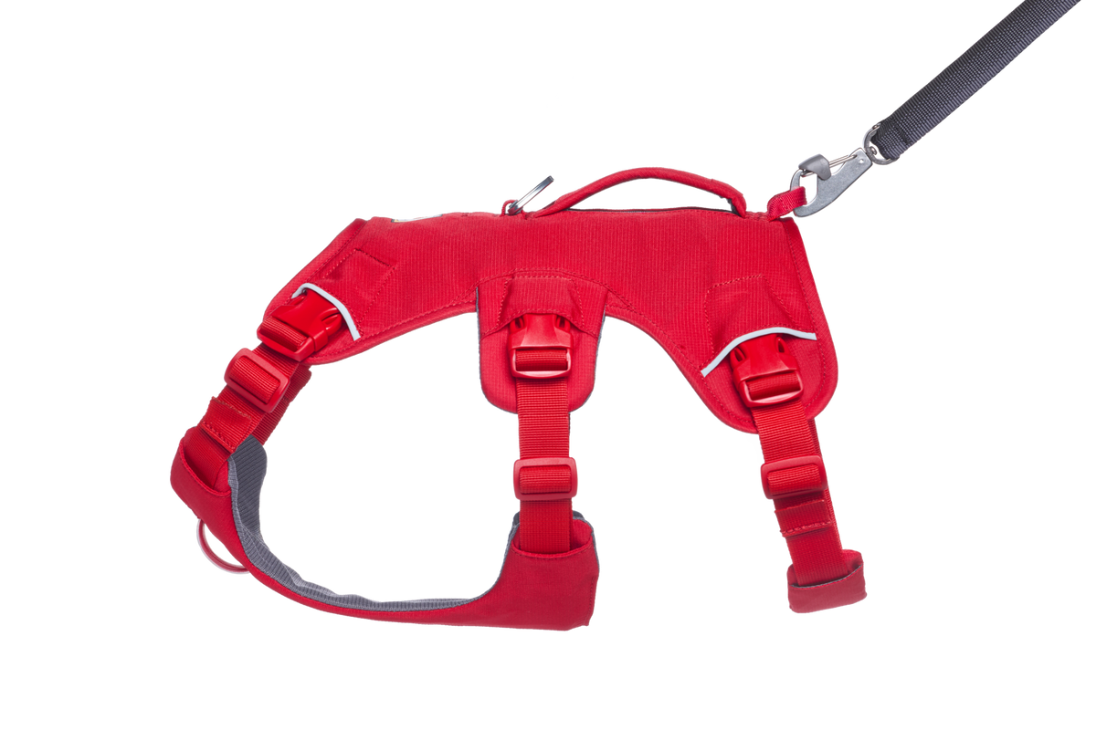 Dog Harness product image 24