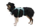 Dog Harness product image 26