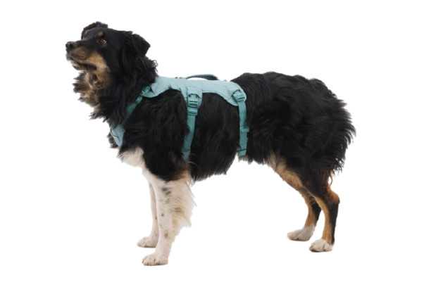 Dog Harness product image 26