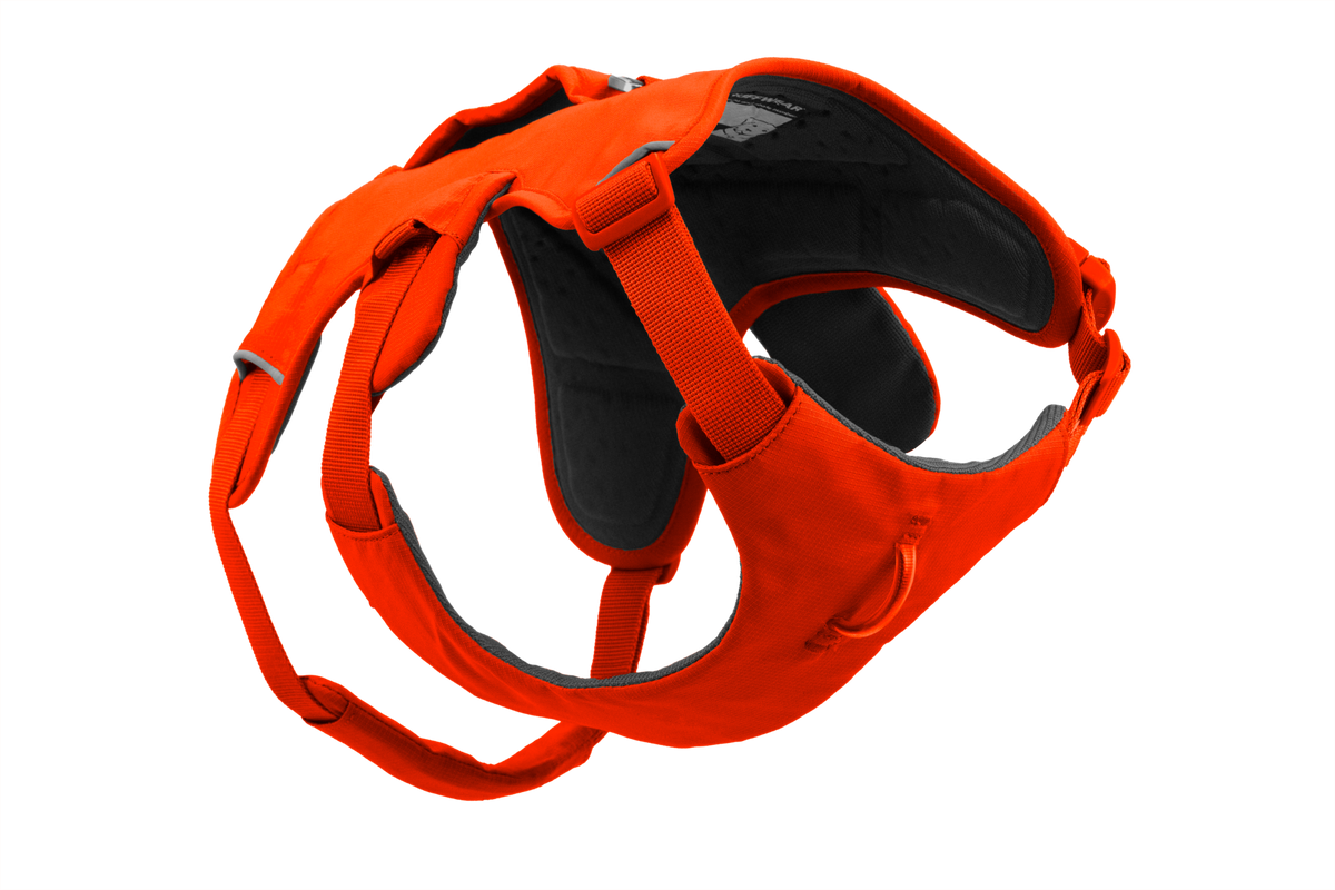 Dog Harness product image 30