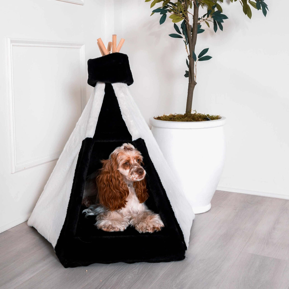 Pet Teepee Bed product image 2