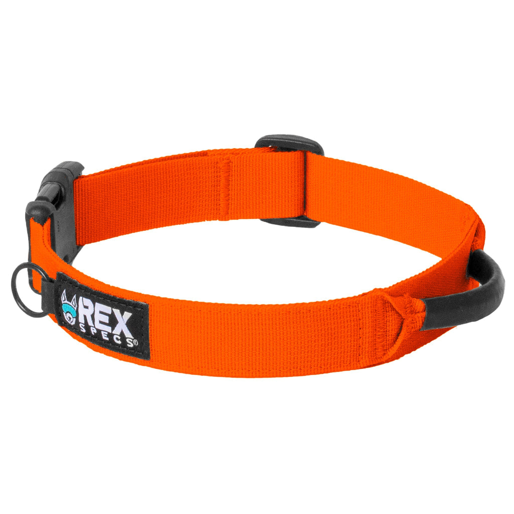 Ozark Orange Trailhead Collar Back