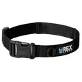 Continuous-Loop Standard Dog Collar, Black / 2