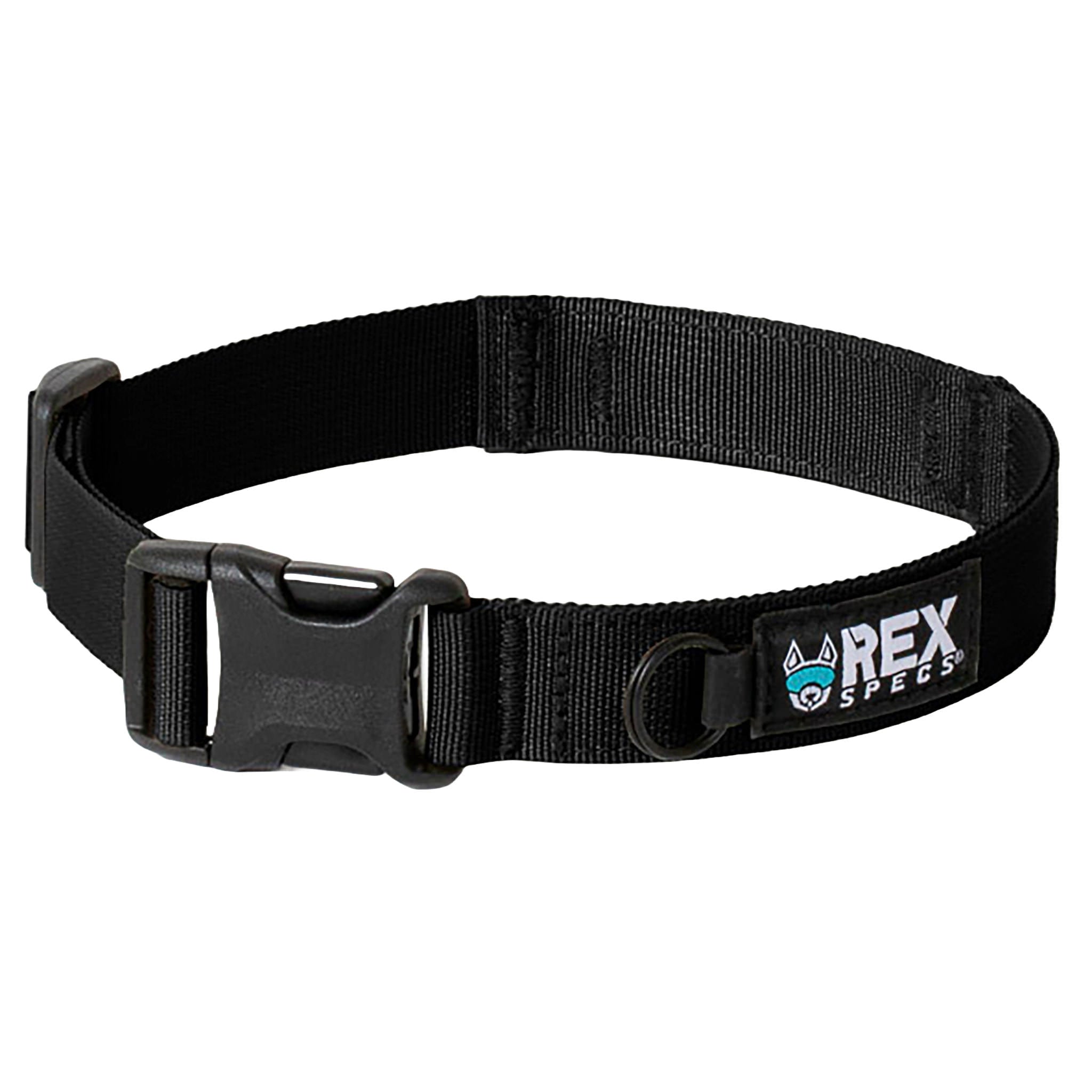 Continuous-Loop Standard Dog Collar, Black / 2