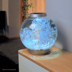 Aquarium Decor Set product image 2
