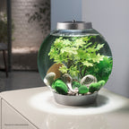 Aquarium Décor Set product image 2