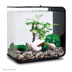 Aquarium Décor Set product image 8