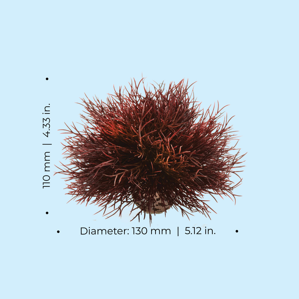 Artificial Aquarium Plant product image 11