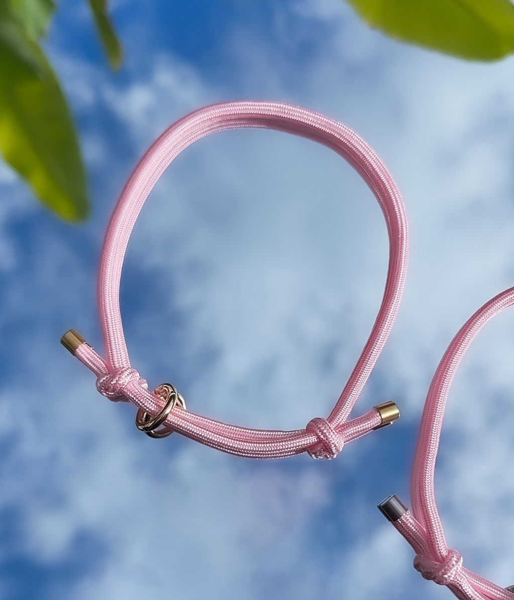 Dog House Collar product image 1