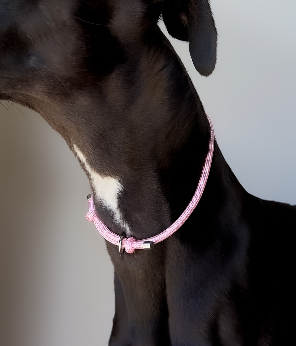 Dog House Collar product image 4