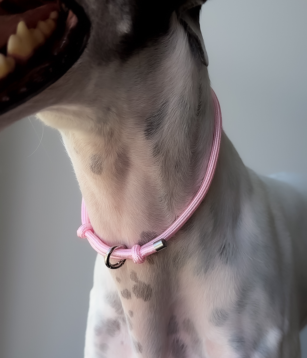 Dog House Collar product image 9