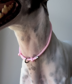 Dog House Collar product image 9