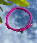 Adjustable House Collar product image 2