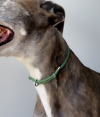House Collar product image 1