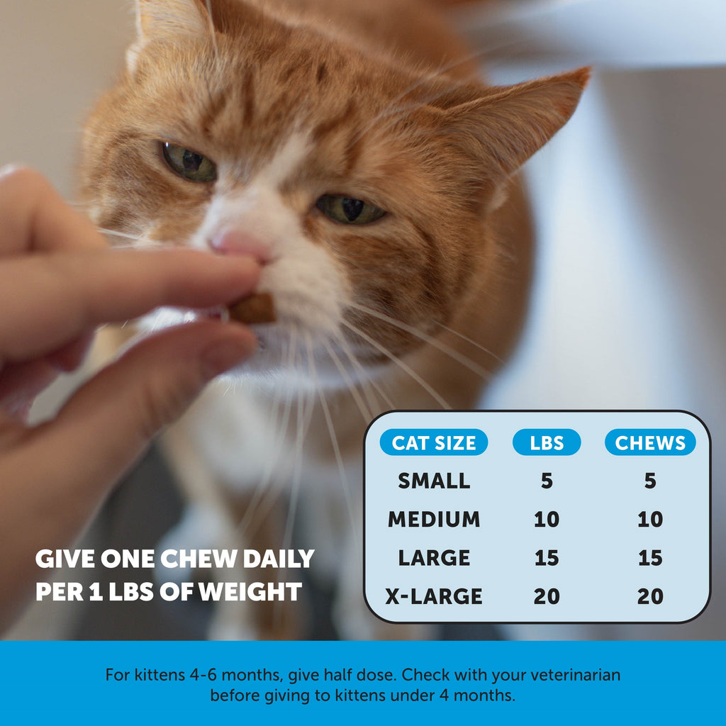 Cat Skin & Coat Supplement product image 4