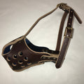 Leather Dog Muzzle product image 4