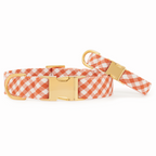 Dog Collar product image 3