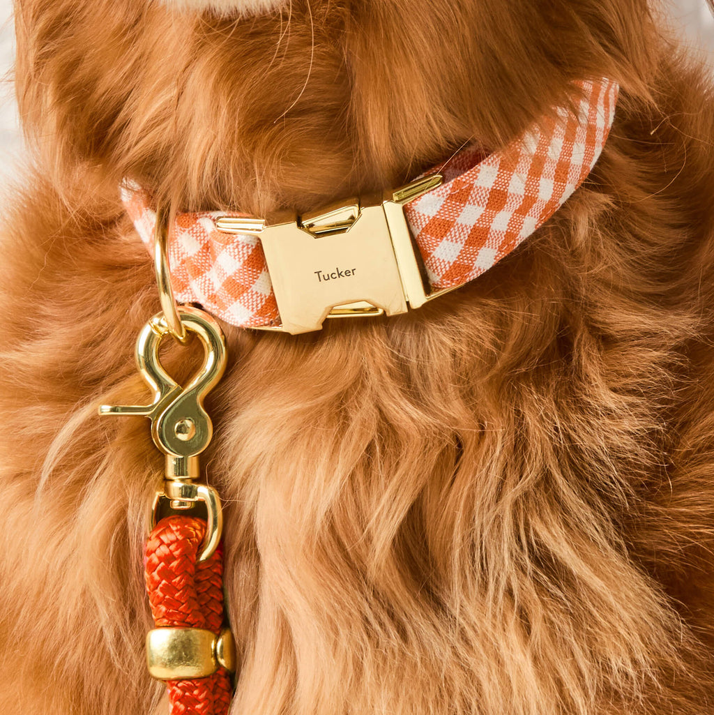 Dog Collar product image 4