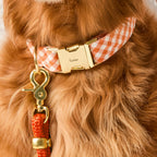 Dog Collar product image 4