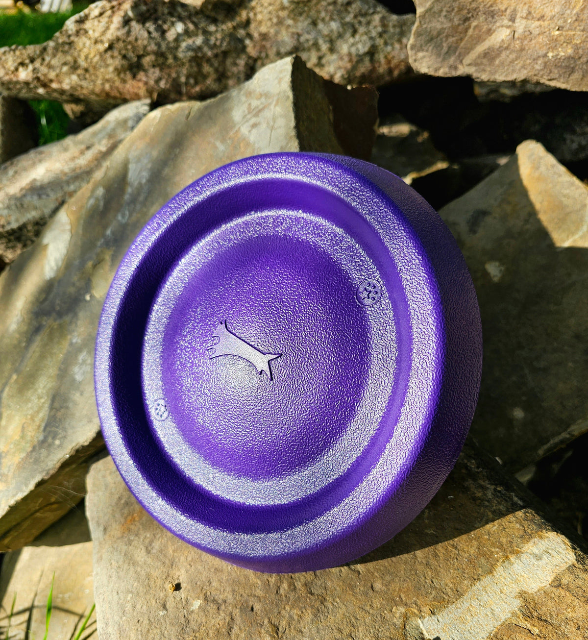 Foam Frisbee product image 10