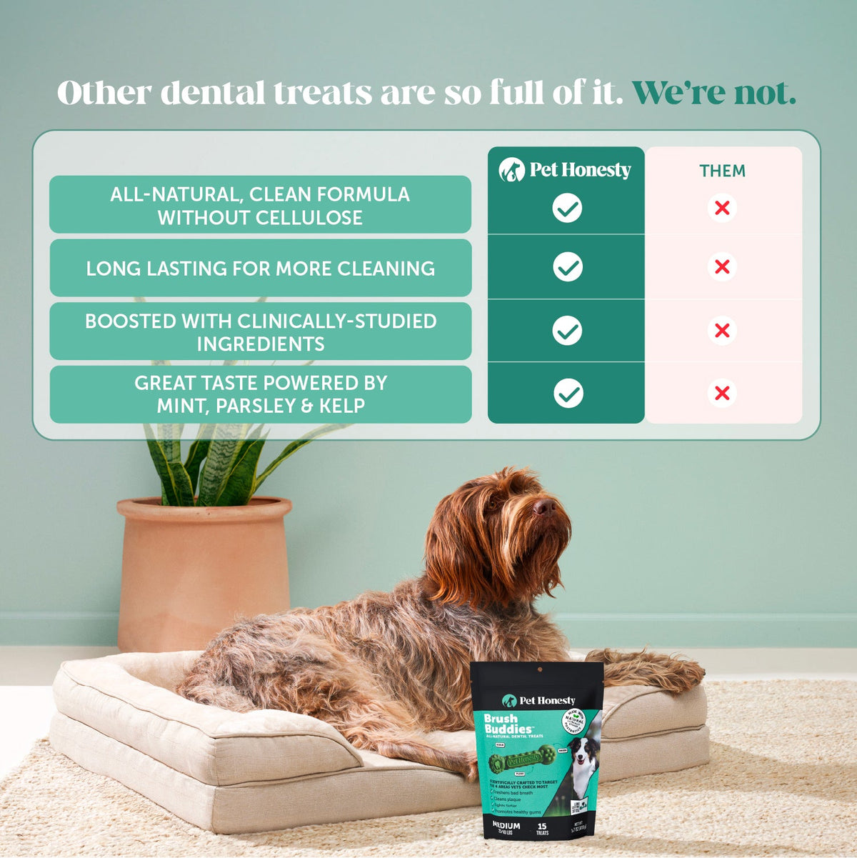 Dog Dental Chews product image 6