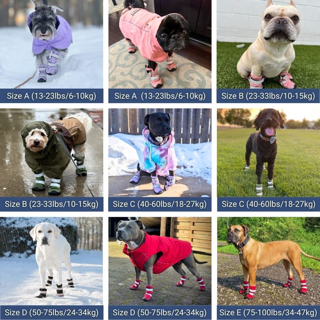 Dog Rain Boots product image 3