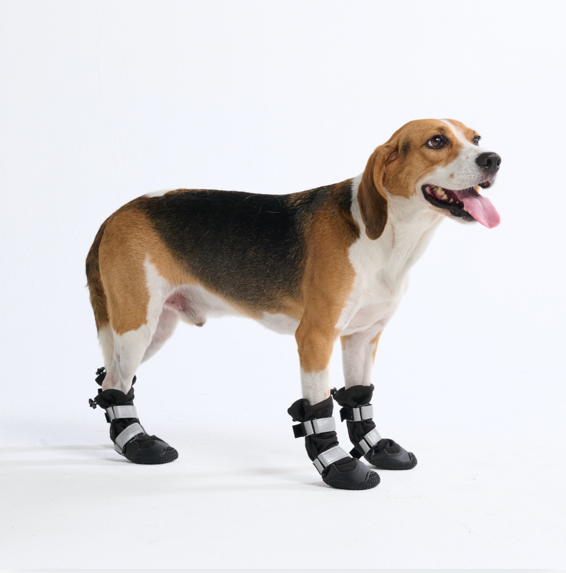 Dog Rain Boots product image 5