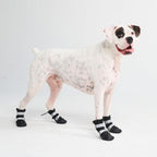 Dog Rain Boots product image 8
