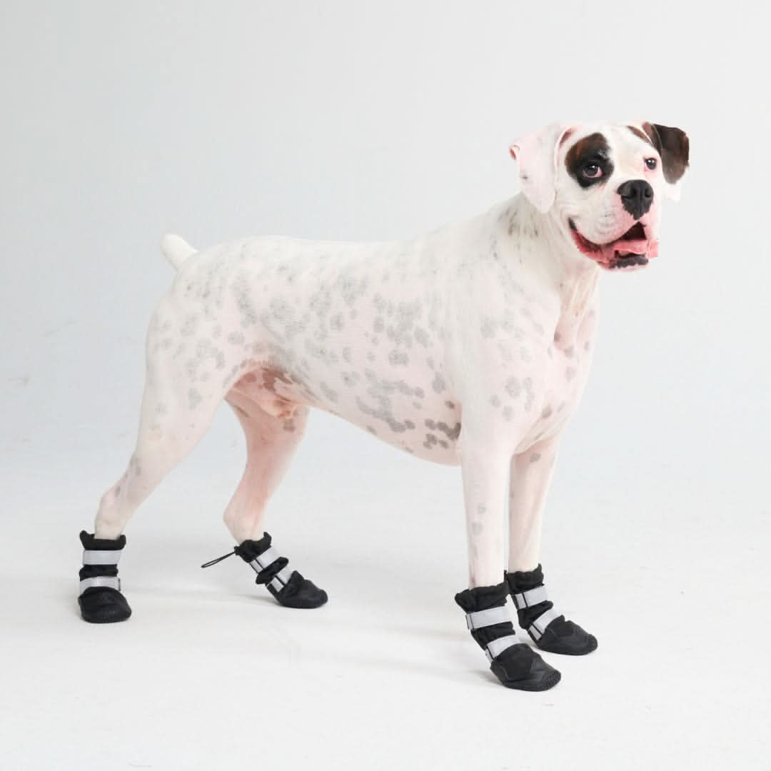 Dog Rain Boots product image 8